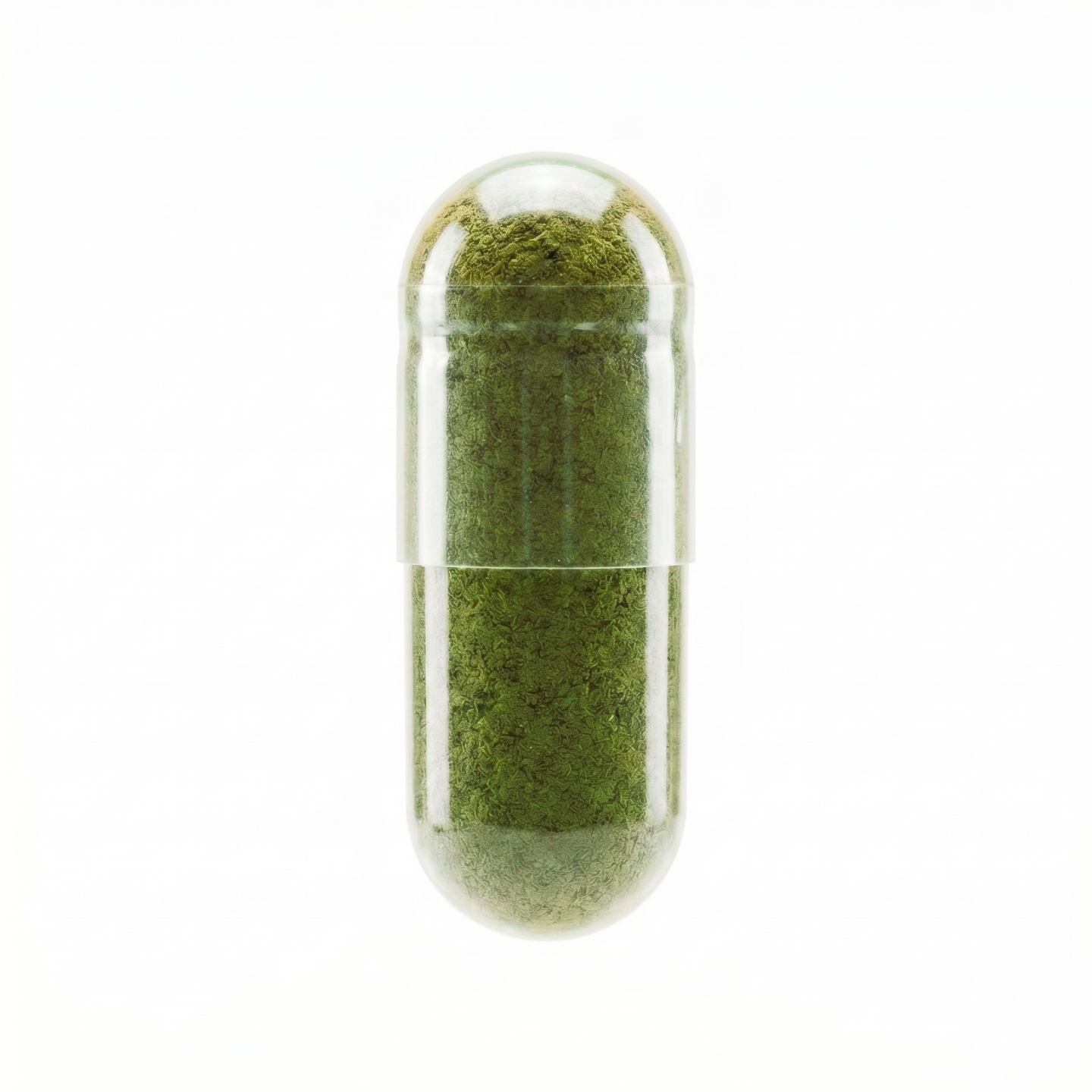 Moringa